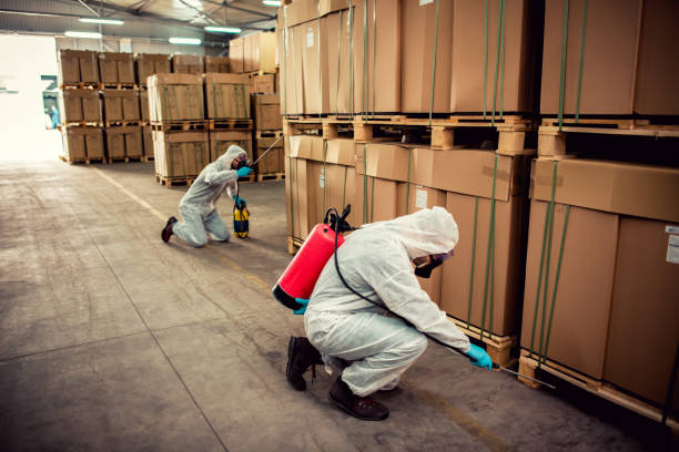 Best Affordable Pest Control Services  in Rockfish, NC