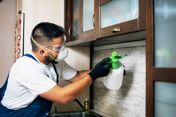 Professional Pest Control in Rockfish, NC