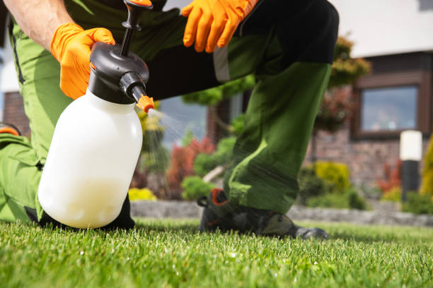 Wasp Removal Services in Rockfish, NC