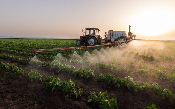Best Commercial Pest Control Services  in Rockfish, NC