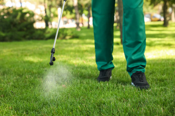 Best Best Pest Control Near Me  in Rockfish, NC