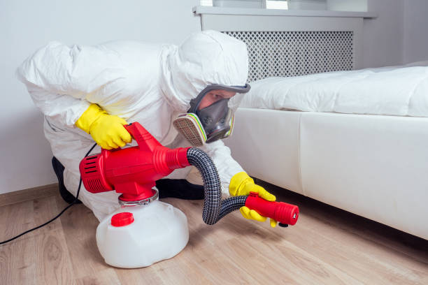 Best Rat Extermination Near Me  in Rockfish, NC