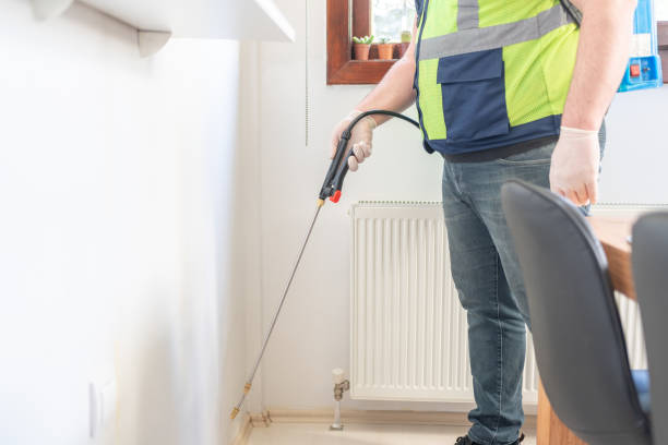 Best Termite Control Services  in Rockfish, NC
