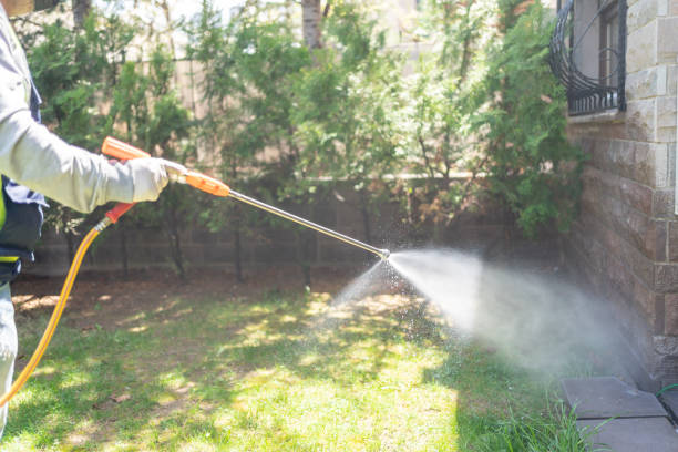 Best Best Pest Control Companies  in Rockfish, NC