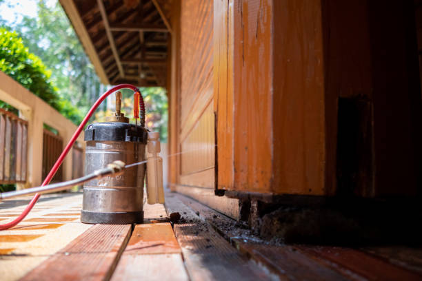 Best Ant Control Services  in Rockfish, NC