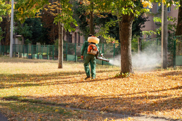 Best Local Pest Control Services  in Rockfish, NC
