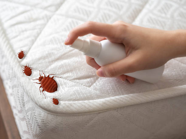 Best Pest Prevention Services  in Rockfish, NC