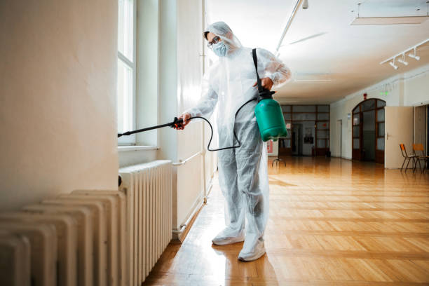 Best Ant Control Services  in Rockfish, NC
